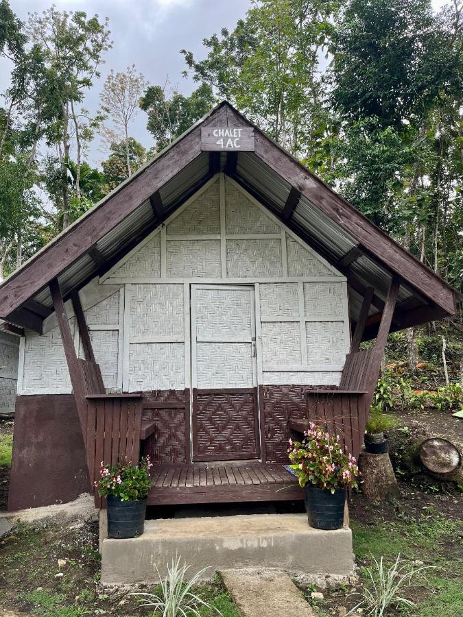 Roca'S Homestay Backpackers Chalet Batuan Eksteriør billede